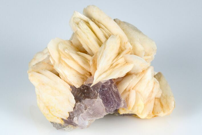 Bladed Barite with Purple Cubic Fluorite - Berbes, Spain #183851